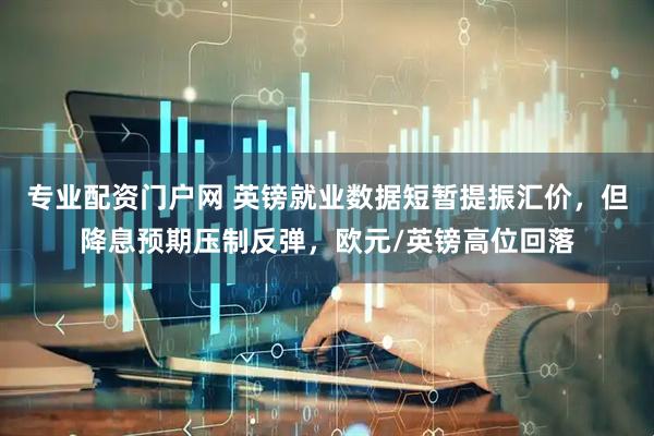 专业配资门户网 英镑就业数据短暂提振汇价，但降息预期压制反弹，欧元/英镑高位回落