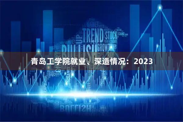 青岛工学院就业、深造情况：2023