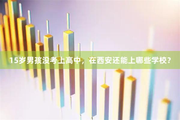 15岁男孩没考上高中，在西安还能上哪些学校？